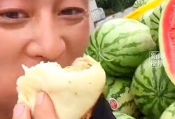 吃瓜年轻小伙阿姨,年轻小伙与阿姨的欢乐食瓜记