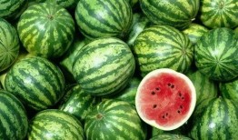 在宗门吃瓜,吃瓜群众揭秘门派秘辛