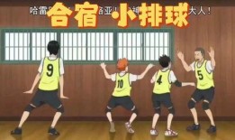 排球少年711吃瓜,揭秘赛场背后的瓜田秘事