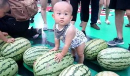 kpop吃瓜汇总2024,热点事件盘点与幕后揭秘