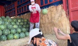 宁国吃瓜小市民,揭秘当地生活百态