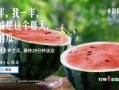 吃瓜快的文案,揭秘娱乐圈最新动态