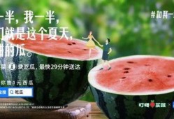 吃瓜快的文案,揭秘娱乐圈最新动态