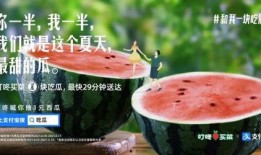 吃瓜快的文案,揭秘娱乐圈最新动态