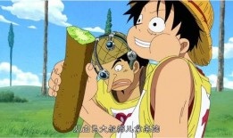 吃瓜船长,一场舌尖上的冒险之旅