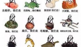 吃瓜什么梗污,污力四溢的梗界风云