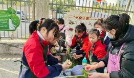 前进小学吃瓜,吃瓜乐趣多，校园生活添色彩