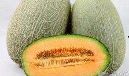 吃哈密瓜刚吃就吐