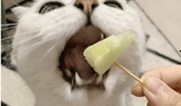 吃瓜现象事例,揭秘网络热点背后的现象与心理