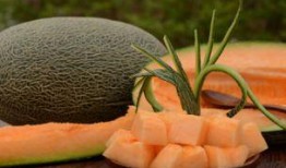 吃哈密瓜应不应该吃籽瓜,食用选择与营养考量