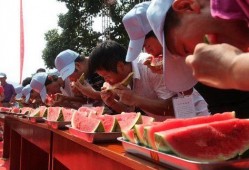 吃瓜比赛活动规则,吃瓜比赛规则大揭秘