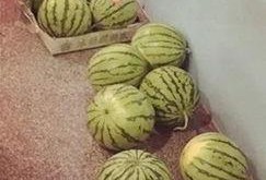 最精神的吃瓜