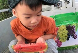 小萌子的吃瓜,娱乐圈幕后那些事儿