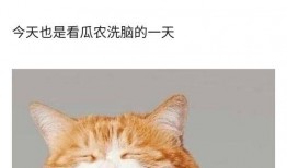 好姐妹吃瓜,揭秘娱乐圈那些不为人知的秘密