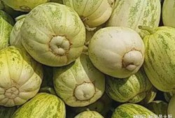 吃不到瓜的吃瓜,揭秘网络热词背后的真相