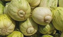 吃不到瓜的吃瓜,揭秘网络热词背后的真相