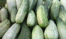 酥瓜怎么调着吃,解锁夏日清新口感