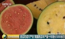 世界级吃瓜,世界级吃瓜大事件盘点