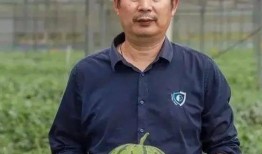 吃瓜群众上线南通,吃瓜群众上线，揭秘城市新鲜事