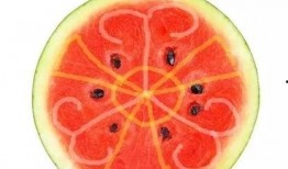 本打算吃瓜视频,网络舆论场中的热点追踪与反思