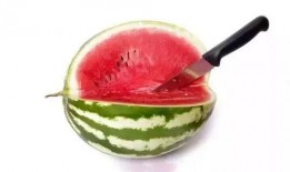 本打算吃瓜视频,网络舆论场中的热点追踪与反思