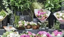 恶心吃瓜事件花店,花店成焦点，揭秘背后故事