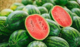 吃瓜881,网络热词背后的故事与影响