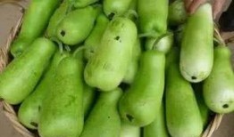 发烧吃葫芦瓜,发烧时的天然清凉良方