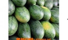 佳人吃瓜,揭秘娱乐圈幕后故事