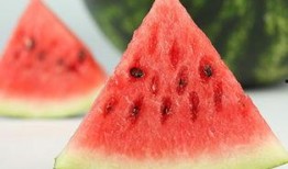 瓜太郎吃西瓜,瓜太郎的甜蜜西瓜之旅