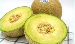 宝宝秋天吃哈密瓜