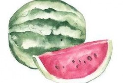 文化吃瓜者,揭秘娱乐圈幕后故事