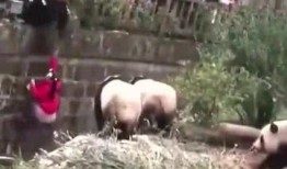 女子掉入湖里吃瓜,围观者竟现场吃瓜看热闹