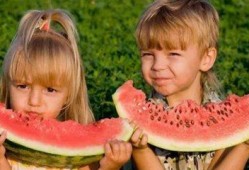 剪发与吃瓜,夏日清爽新体验