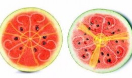 吃瓜吃多了吐,揭秘网络舆论背后的真相