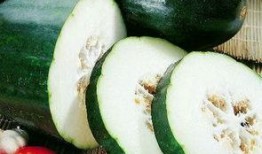 吃瓜少女在线吃瓜