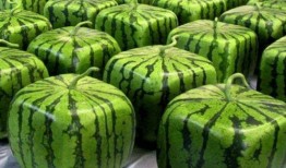 吃瓜中国是真的吗,真相还是谣言？