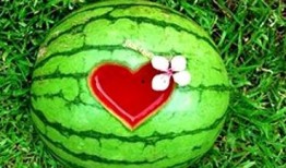 梦丸吃瓜,揭秘娱乐圈幕后故事