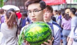 陕西吃瓜大学招生,招生亮点与特色解读