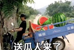 兄弟吃瓜文案,一场温馨的瓜界盛宴