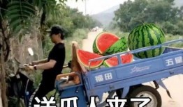 兄弟吃瓜文案,一场温馨的瓜界盛宴