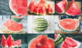 长沙站吃瓜,一场吃瓜群众的味蕾盛宴