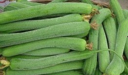 为何喜欢吃瓜,揭秘“吃瓜群众”背后的心理奥秘