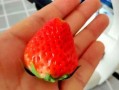 吃颗草莓瓜,甜蜜诱惑，舌尖上的夏日风情