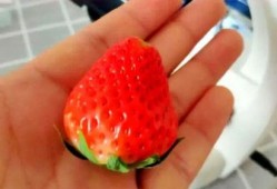 吃颗草莓瓜,甜蜜诱惑，舌尖上的夏日风情