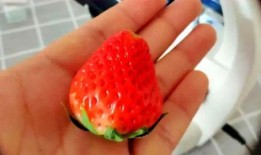 吃颗草莓瓜,甜蜜诱惑，舌尖上的夏日风情