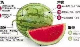 微信群吃瓜吃瓜,揭秘网络社交的趣味与争议