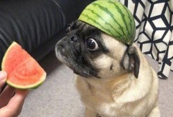 吃瓜冲浪网友,揭秘网络热点背后的故事