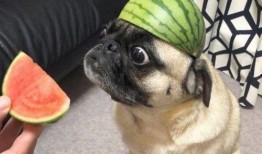 吃瓜冲浪网友,揭秘网络热点背后的故事