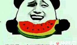 吃瓜什么梗污,污力四溢的梗界风云